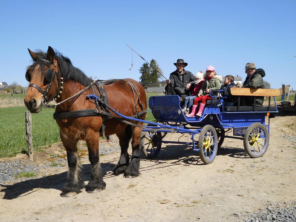 B&B Willow Springs Way Station Gouvy ภายนอก รูปภาพ